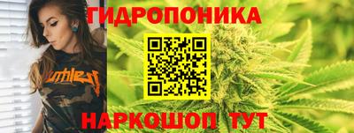 шишки Комсомольск-на-Амуре
